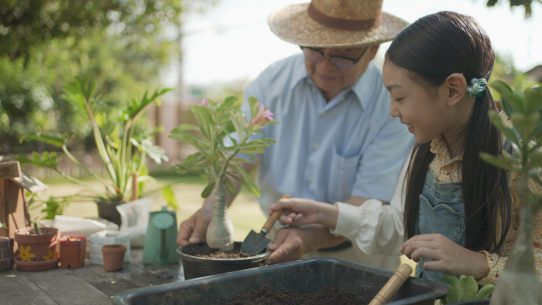 60% of Asiana Riverside’s area set aside for green spaces, utilities